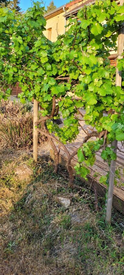 La Boissiere, Le Domaine De Brugal Hotel Carsac-Aillac Kültér fotó